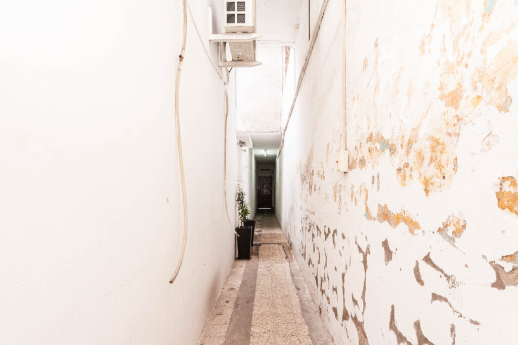 IMG 1133 1024x683