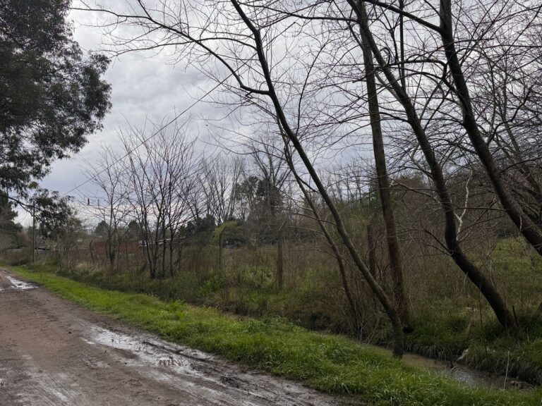 Imagen de WhatsApp 2025 09 02 a las 12.38.20 118be7b0 768x576